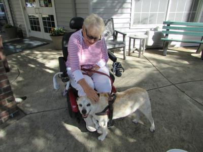 Person sitting in a chair and reaching down to pet Raquel (now Poppy) the dog