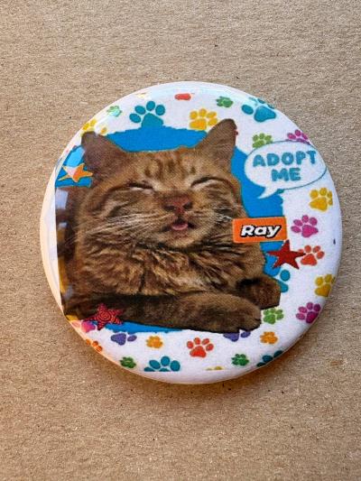 Button feature Ray the cat to get him adopted