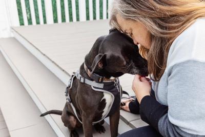 Person and black and white dog with foreheads touching in an affectionate way