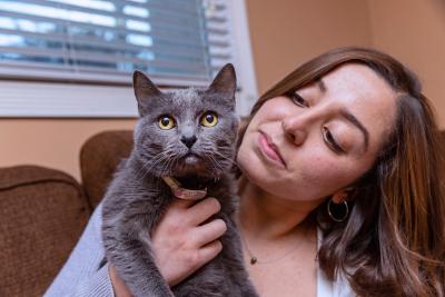 Person holding a gray cat