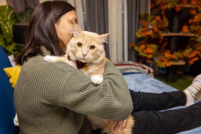 Person holding a cream colored cat (who is wearing a bow tie) over her shoulder