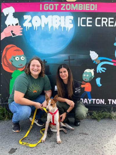 Two people with a dog in front of a Zombie Ice Cream wall