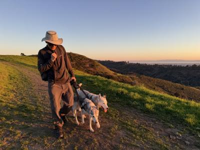 Po, Mika, and Rio catching the sunset on a favorite hiking trail