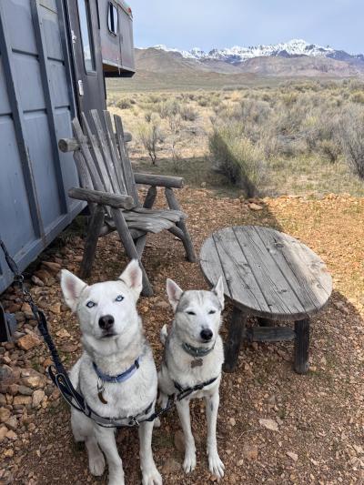 Rio and Mika outside ready to go hiking
