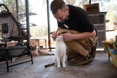 Cat World caregiver kneeling down to pet Nate the cat