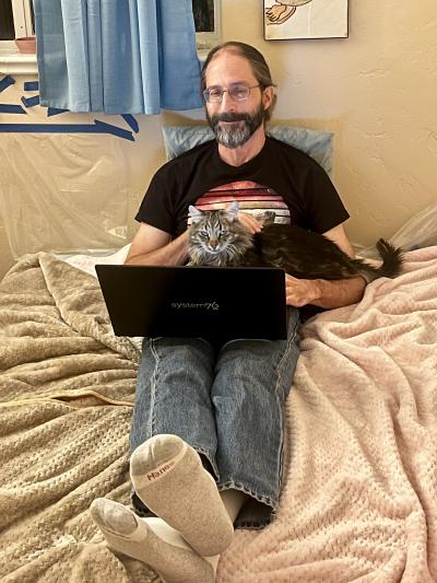 Rockwell the cat on a person's lap who is working on a laptop computer