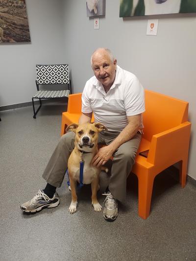Sadie the dog with her adopter, who is sitting on an orange chair