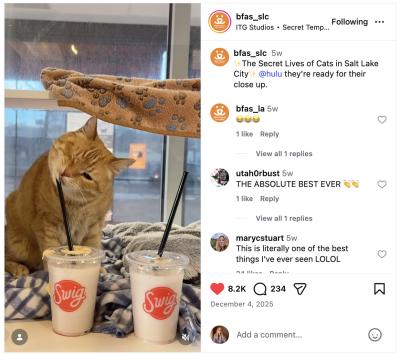 Encouraging adoption via a pop culture phenomenon with ties to the local community.