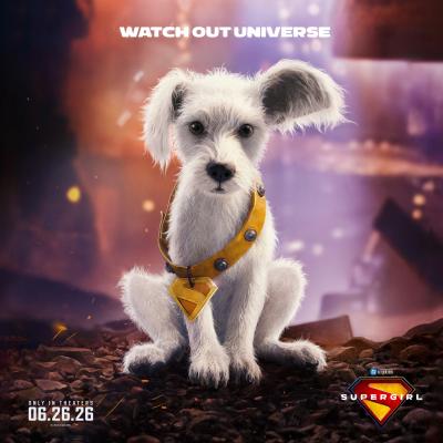 Krypto the puppy with a collar that is too large around his neck with a Supergirl logo and opening date