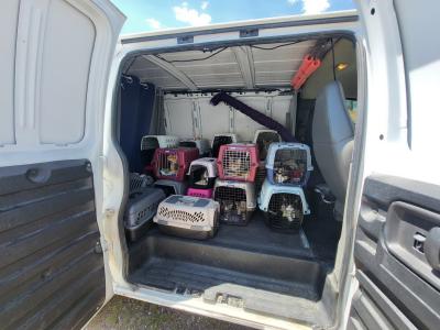 A bunch of stacked crates holding cats in the back of a van