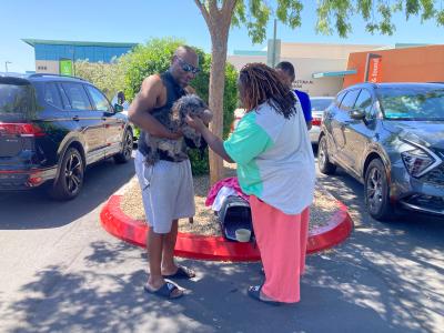 Sassy the dog reuniting with her family
