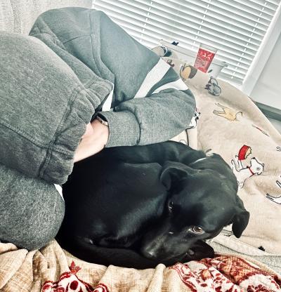 Kya the dog curled up next to a person lying down and wearing a hoodie