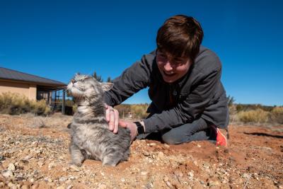 Person petting a cat who is outside for a walk