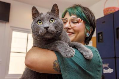 Smiling person holding a gray cat