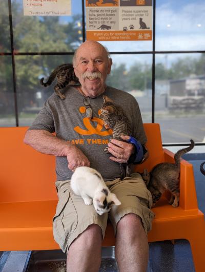 Volunteer Steve Pack sitting on an orange bench with kittens on and around him