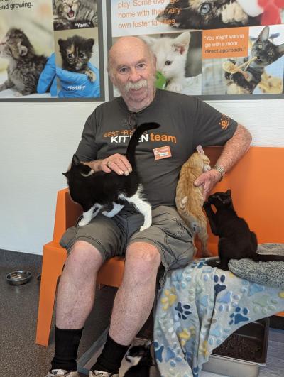 Steve Pack the volunteer sitting on an orange cat surrounded by a litter of kittens