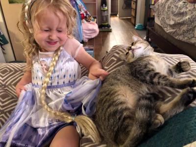 Smiling child petting a tabby cat who is lying down
