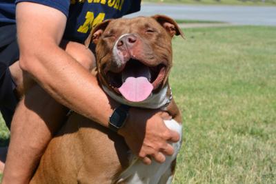 Person hugging a dog who is smiling with eyes closed