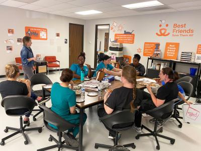 High-volume spay/neuter team sitting around a table taking a break and eating pizza