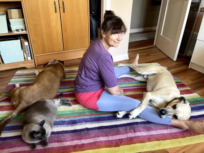 Woman on a colorful rug with Yogi and Tank the dogs and a Siamese cat