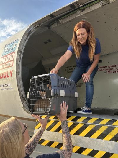 Person passing a carrier containing a cat down off the transport plane from Texas flooding