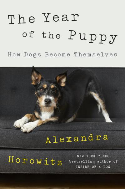 Front cover of the book, 'The Year of the Puppy: How Dogs Become Themselves'