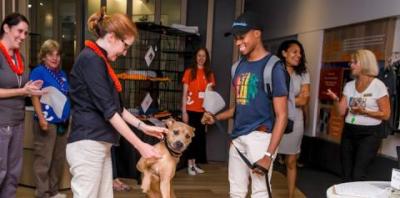 Tan dog with female volunteer and male adopter in blue shirt