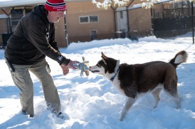 Shiro the dog playing tug of war with his caregiver
