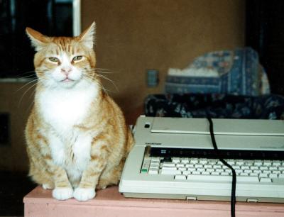 Tomato the cat sitting next to an electric typewriter