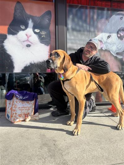 Topino the dog being adopted