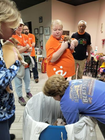 Multiple people, including several wearing Best Friends T-shirts, getting puppies ready for a transport following Hurricane Ian