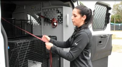 Volunteer unloading cat traps from a van