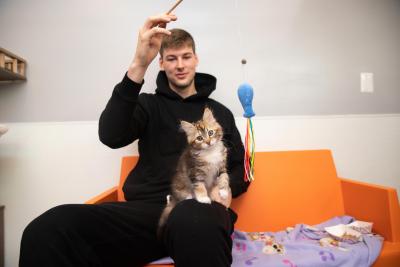 Kyle Filipowski holding a wand toy and playing with a kitten on his knee