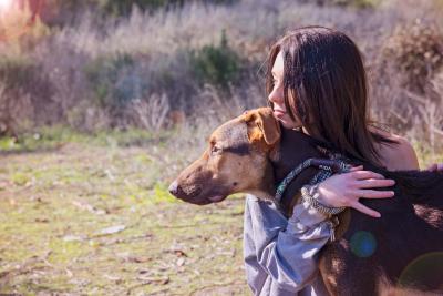 Person hugging a shepherd-type dog outside in a field