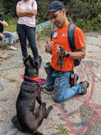 Volunteer out on a walk with a dog, interacting with a large black dog