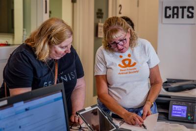 Volunteer Cheryl Baker working at the 2019 Supurr Adoption event