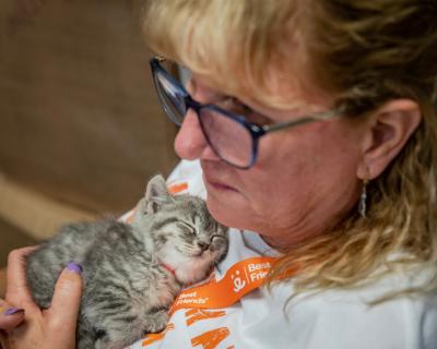 Volunteer Cheryl Baker cradling a small gray tabby kitten on her chest
