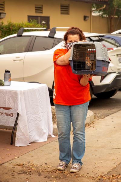 Cathy Berry the volunteer wearing an orange Best Friends T-shirt and holding a kitten in a carrier