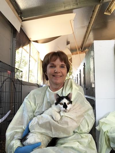 Volunteer Heather Mahood holding a black and white cat while wearing a protective gown