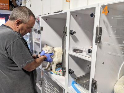Volunteer Jeff Harris petting a white cat in a kennel