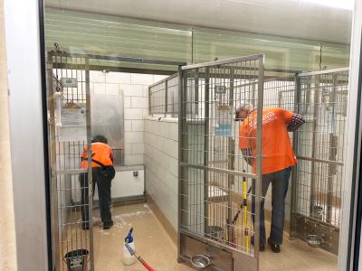 Best Friends in Houston takeover day volunteers cleaning dog kennels