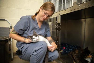 Person holding a cat outside a kennel in a shelter