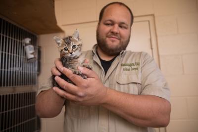 Animal control officer holding a small tabby kitten cupped in his hands