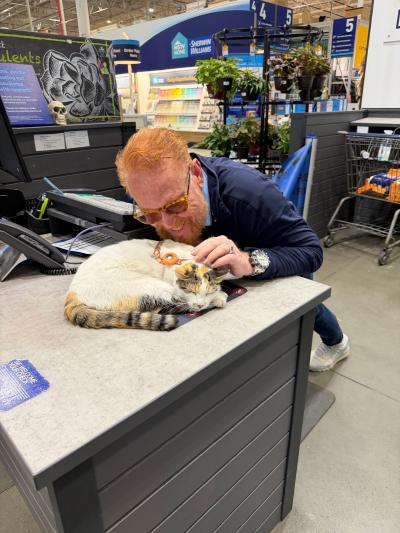 Wayne petting Francine the cat who is sleeping on a counter at a Lowe's register