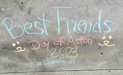 Chalk drawing on a sidewalk that says Best Friends Day of Action 2023 #SaveThemAll with two Best Friends logos