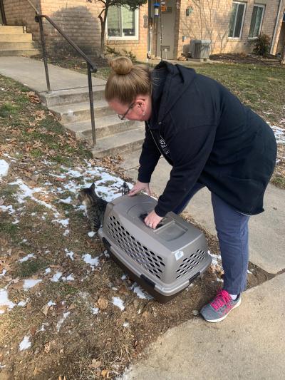 Person bending over a cat carrier with a cat walking outside