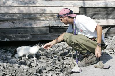 Person reaching out to rescue a cat from debris following Hurricane Katrina