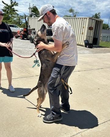 Dog from Animal Protective League standing on his hind legs to get pets from a person