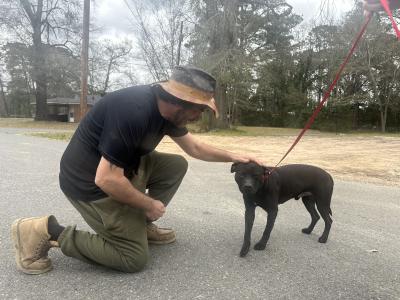 Person wearing a hat kneeling down to pet a dog outside on a leash