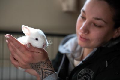 Person holding a small white baby bunny